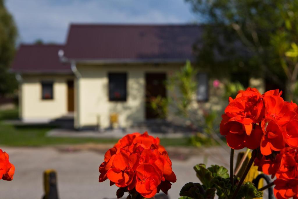 Hotel Balaton Eldorado Camping Badacsonytördemic Exterior foto